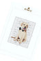 Golden Retriever DMC Cross Stitch Kit