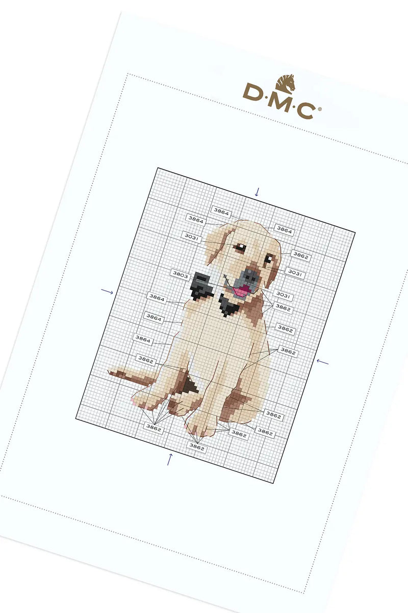 Golden Retriever DMC Cross Stitch Kit
