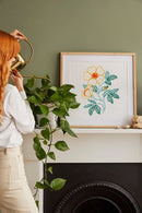 Wild Rose DMC Embroidery Kit