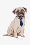 Pug DMC Cross Stitch Kit