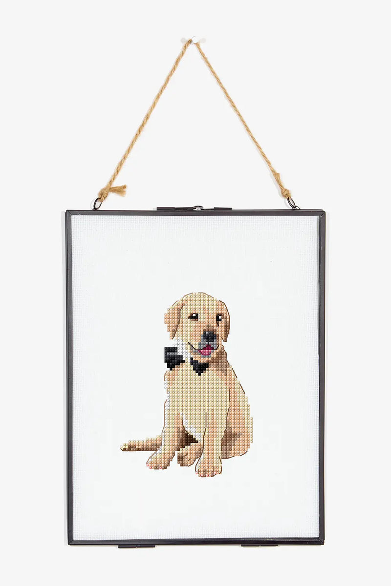 Golden Retriever DMC Cross Stitch Kit