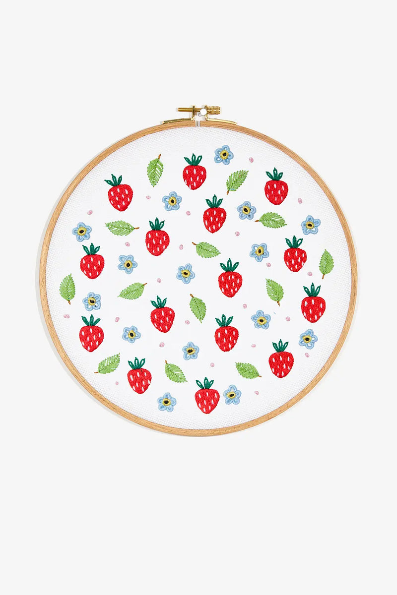 Strawberry DMC Embroidery Kit