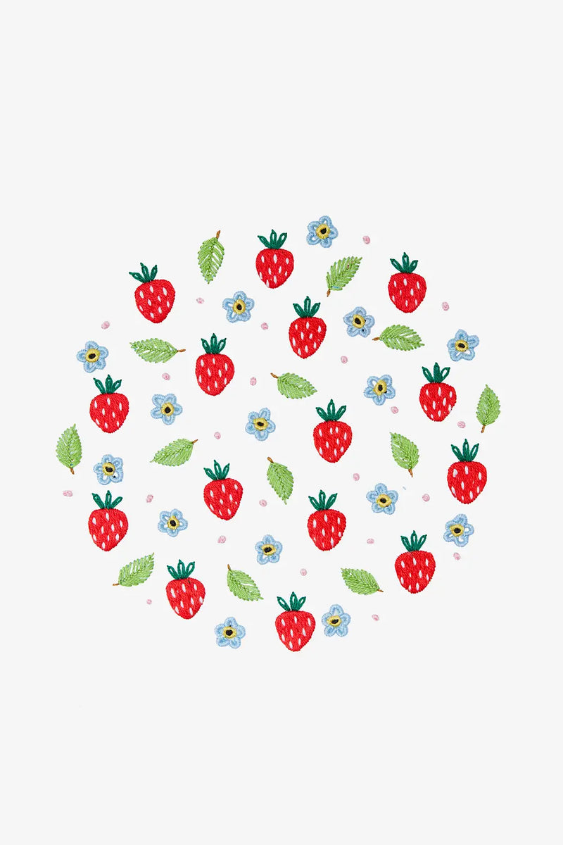 Strawberry DMC Embroidery Kit